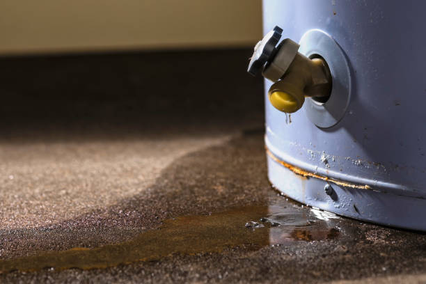 Best Flooded house restoration  in Hebron, PA