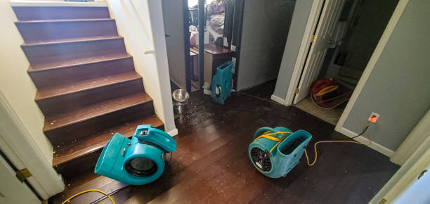 Best Professional water damage repair  in Hebron, PA