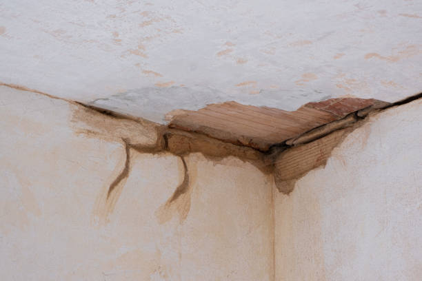 Best Water damage contractors near me  in Hebron, PA