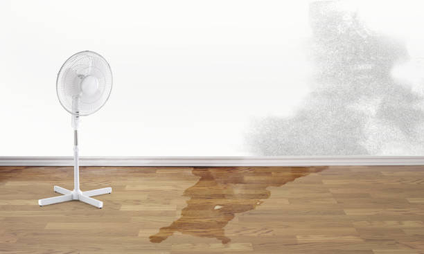 Best Water damage cleanup near me  in Hebron, PA
