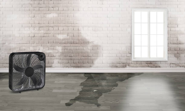 Best Residential water damage restoration  in Hebron, PA
